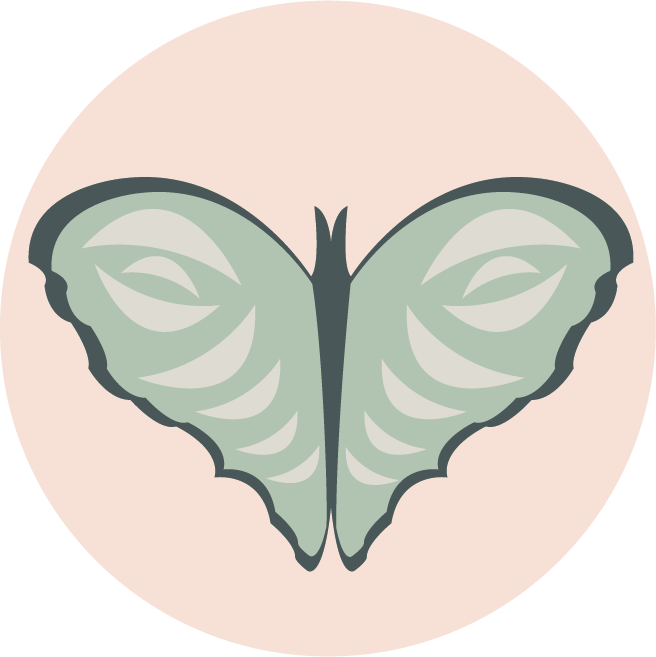 Green Butterfly