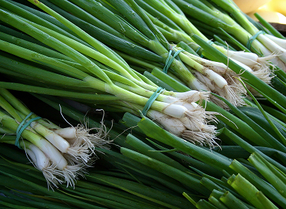 Scallions